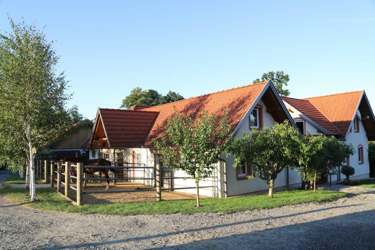 Villa Ferienvierkanthof Brigitte à Unterbuch Extérieur photo